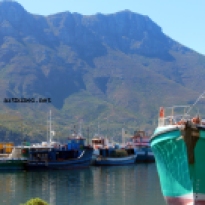 hout bay harbour